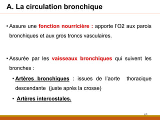 A. La circulation bronchique
• Assure une fonction nourricière : apporte l’O2 aux parois
bronchiques et aux gros troncs vasculaires.
• Assurée par les vaisseaux bronchiques qui suivent les
bronches :
• Artères bronchiques : issues de l’aorte thoracique
descendante (juste après la crosse)
• Artères intercostales.
45
 