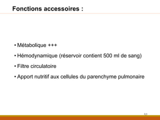• Métabolique +++
• Hémodynamique (réservoir contient 500 ml de sang)
• Filtre circulatoire
• Apport nutritif aux cellules du parenchyme pulmonaire
52
Fonctions accessoires :
 