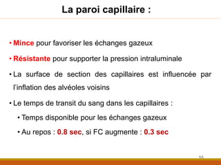 La paroi capillaire :
• Mince pour favoriser les échanges gazeux
• Résistante pour supporter la pression intraluminale
• La surface de section des capillaires est influencée par
l’inflation des alvéoles voisins
• Le temps de transit du sang dans les capillaires :
• Temps disponible pour les échanges gazeux
• Au repos : 0.8 sec, si FC augmente : 0.3 sec
55
 