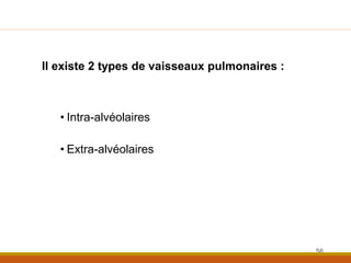 Il existe 2 types de vaisseaux pulmonaires :
• Intra-alvéolaires
• Extra-alvéolaires
56
 