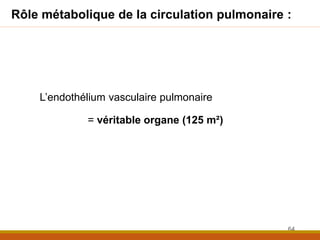 Rôle métabolique de la circulation pulmonaire :
L’endothélium vasculaire pulmonaire
= véritable organe (125 m²)
64
 