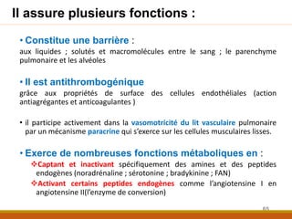 Il assure plusieurs fonctions :
• Constitue une barrière :
aux liquides ; solutés et macromolécules entre le sang ; le parenchyme
pulmonaire et les alvéoles
• Il est antithrombogénique
grâce aux propriétés de surface des cellules endothéliales (action
antiagrégantes et anticoagulantes )
• il participe activement dans la vasomotricité du lit vasculaire pulmonaire
par un mécanisme paracrine qui s’exerce sur les cellules musculaires lisses.
• Exerce de nombreuses fonctions métaboliques en :
Captant et inactivant spécifiquement des amines et des peptides
endogènes (noradrénaline ; sérotonine ; bradykinine ; FAN)
Activant certains peptides endogènes comme l’angiotensine I en
angiotensine II(l’enzyme de conversion)
65
 