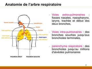 Anatomie de l’arbre respiratoire
- Voies extra-pulmonaires :
fosses nasales, nasopharynx,
larynx, trachée et début des
deux bronches,
- Voies intra-pulmonaires : des
bronches souches jusqu'aux
bronchioles terminales,
- parenchyme respiratoire : des
bronchioles jusqu’au millions
d'alvéoles pulmonaires
7
 