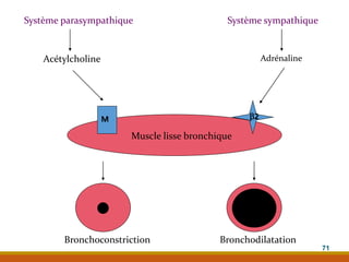Muscle lisse bronchique
M 2
Système parasympathique Système sympathique
Acétylcholine Adrénaline
Bronchoconstriction Bronchodilatation
71
 