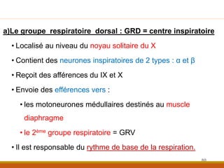 a)Le groupe respiratoire dorsal : GRD = centre inspiratoire
• Localisé au niveau du noyau solitaire du X
• Contient des neurones inspiratoires de 2 types : α et β
• Reçoit des afférences du IX et X
• Envoie des efférences vers :
• les motoneurones médullaires destinés au muscle
diaphragme
• le 2ème groupe respiratoire = GRV
• Il est responsable du rythme de base de la respiration.
80
 