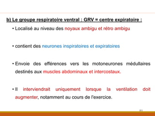 b) Le groupe respiratoire ventral : GRV = centre expiratoire :
• Localisé au niveau des noyaux ambigu et rétro ambigu
• contient des neurones inspiratoires et expiratoires
• Envoie des efférences vers les motoneurones médullaires
destinés aux muscles abdominaux et intercostaux.
• Il interviendrait uniquement lorsque la ventilation doit
augmenter, notamment au cours de l'exercice.
81
 