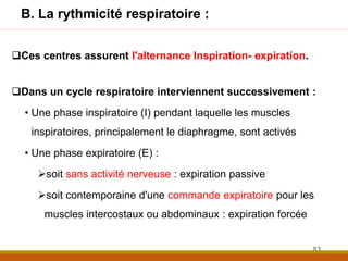 B. La rythmicité respiratoire :
Ces centres assurent l'alternance Inspiration- expiration.
Dans un cycle respiratoire interviennent successivement :
• Une phase inspiratoire (I) pendant laquelle les muscles
inspiratoires, principalement le diaphragme, sont activés
• Une phase expiratoire (E) :
soit sans activité nerveuse : expiration passive
soit contemporaine d'une commande expiratoire pour les
muscles intercostaux ou abdominaux : expiration forcée
83
 