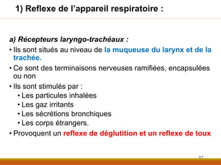 1) Reflexe de l’appareil respiratoire :
a) Récepteurs laryngo-trachéaux :
• Ils sont situés au niveau de la muqueuse du larynx et de la
trachée.
• Ce sont des terminaisons nerveuses ramifiées, encapsulées
ou non
• Ils sont stimulés par :
• Les particules inhalées
• Les gaz irritants
• Les sécrétions bronchiques
• Les corps étrangers.
• Provoquent un reflexe de déglutition et un reflexe de toux
87
 