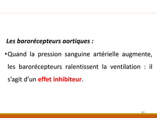 Les barorécepteurs aortiques :
•Quand la pression sanguine artérielle augmente,
les barorécepteurs ralentissent la ventilation : il
s’agit d’un effet inhibiteur.
92
 