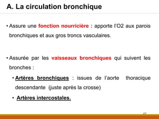 A. La circulation bronchique
• Assure une fonction nourricière : apporte l’O2 aux parois
bronchiques et aux gros troncs va...