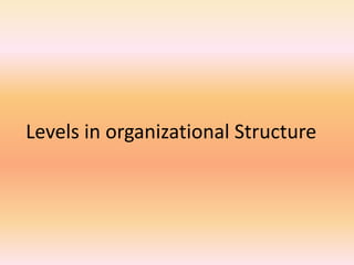 Levels in organizational Structure
 