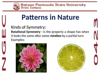 Patterns And Regularities Example Mathematics in the Modern World-Topic 01 Patterns in Nature.pptx