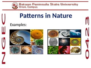 Mathematics in the Modern World-Topic 01 Patterns in Nature.pptx
