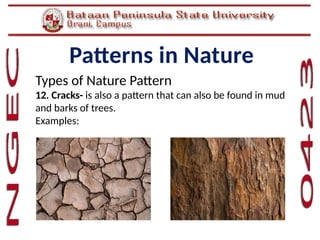 Mathematics in the Modern World-Topic 01 Patterns in Nature.pptx