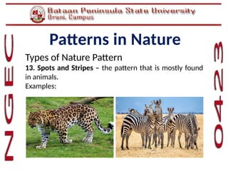 Mathematics in the Modern World-Topic 01 Patterns in Nature.pptx