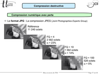 Mise en œuvre du TNS Page 57 sur 64
Compression numérique avec perte
Compression destructive
 Le format JPG : La compression JPEG (Joint Photographies Experts Group)
Référence
11 240 octets
FQ = 4
2 582 octets
α = 23%
FQ = 10
1 582 octets
α = 14%
FQ = 100
528 octets
α = 5%
 