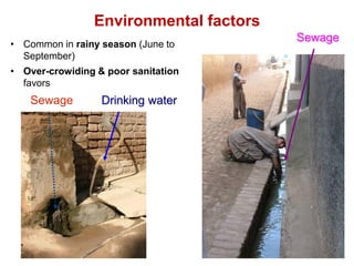 Environmental factors
• Common in rainy season (June to
September)
• Over-crowiding & poor sanitation
favors
Sewage Drinking water
Sewage
 