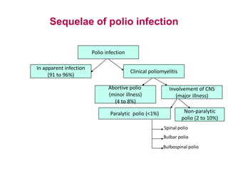Sequelae of polio infection
Polio infection
In apparent infection
(91 to 96%)
Clinical poliomyelitis
Abortive polio
(minor illness)
(4 to 8%)
Involvement of CNS
(major illness)
Paralytic polio (<1%) Non-paralytic
polio (2 to 10%)
Spinal polio
Bulbar polio
Bulbospinal polio
 