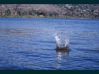 data, ..., profit (@pavlobaron)