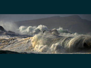 data, ..., profit (@pavlobaron)