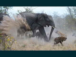 data, ..., profit (@pavlobaron)