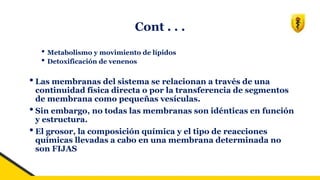 Cont . . .
• Metabolismo y movimiento de lípidos
• Detoxificación de venenos
• Las membranas del sistema se relacionan a través de una
continuidad física directa o por la transferencia de segmentos
de membrana como pequeñas vesículas.
•Sin embargo, no todas las membranas son idénticas en función
y estructura.
• El grosor, la composición química y el tipo de reacciones
químicas llevadas a cabo en una membrana determinada no
son FIJAS
 