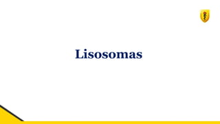 Lisosomas
 