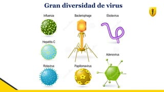 Gran diversidad de virus
 