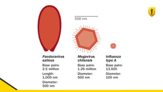 CM3-Célula-Procariótica-Eucariótica-Virus.pdf