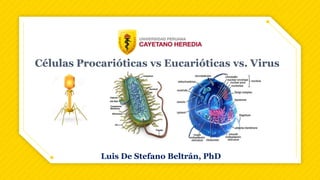 Células Procarióticas vs Eucarióticas vs. Virus
Luis De Stefano Beltrán, PhD
 
