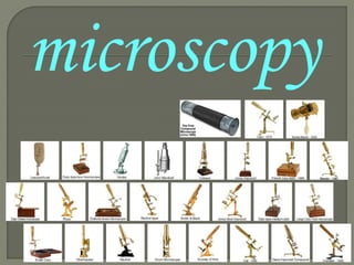 microscopy
 