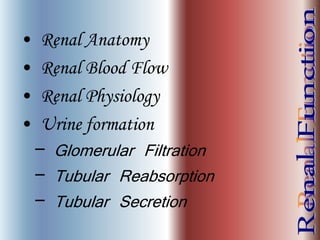 • Renal Anatomy
• Renal Blood Flow
• Renal Physiology
• Urine formation
– Glomerular Filtration
– Tubular Reabsorption
– Tubular Secretion
 