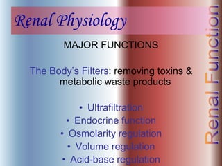 Renal Physiology
MAJOR FUNCTIONS
The Body’s Filters: removing toxins &
metabolic waste products
• Ultrafiltration
• Endocrine function
• Osmolarity regulation
• Volume regulation
• Acid-base regulation
 