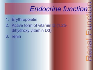 Endocrine function
1. Erythropoietin
2. Active form of vitamin D (1,25-
dihydroxy vitamin D3)
3. renin
 