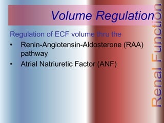 Volume Regulation
Regulation of ECF volume thru the
• Renin-Angiotensin-Aldosterone (RAA)
pathway
• Atrial Natriuretic Factor (ANF)
 