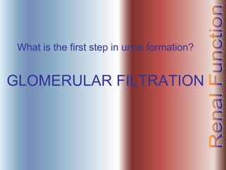 What is the first step in urine formation?
GLOMERULAR FILTRATION
 