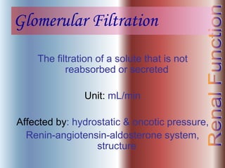 Glomerular Filtration
The filtration of a solute that is not
reabsorbed or secreted
Unit: mL/min
Affected by: hydrostatic & oncotic pressure,
Renin-angiotensin-aldosterone system,
structure
 