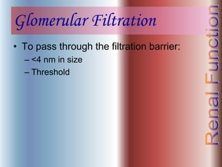 Glomerular Filtration
• To pass through the filtration barrier:
– <4 nm in size
– Threshold
 