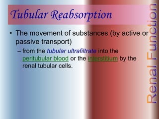 Tubular Reabsorption
• The movement of substances (by active or
passive transport)
– from the tubular ultrafiltrate into the
peritubular blood or the interstitium by the
renal tubular cells.
 