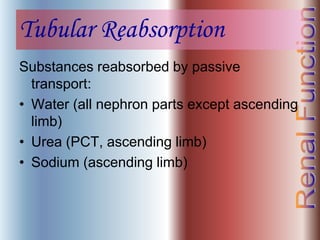 Tubular Reabsorption
Substances reabsorbed by passive
transport:
• Water (all nephron parts except ascending
limb)
• Urea (PCT, ascending limb)
• Sodium (ascending limb)
 