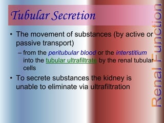 Tubular Secretion
• The movement of substances (by active or
passive transport)
– from the peritubular blood or the interstitium
into the tubular ultrafiltrate by the renal tubular
cells
• To secrete substances the kidney is
unable to eliminate via ultrafiltration
 