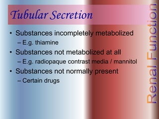 Tubular Secretion
• Substances incompletely metabolized
– E.g. thiamine
• Substances not metabolized at all
– E.g. radiopaque contrast media / mannitol
• Substances not normally present
– Certain drugs
 