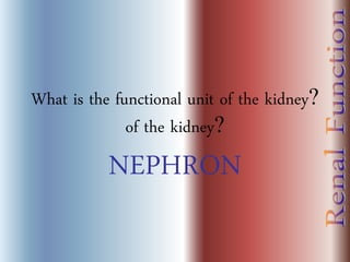 What is the functional unit of the kidney?
of the kidney?
NEPHRON
 