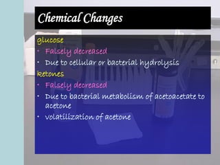 Chemical Changes
glucose
• Falsely decreased
• Due to cellular or bacterial hydrolysis
ketones
• Falsely decreased
• Due to bacterial metabolism of acetoacetate to
acetone
• volatilization of acetone
 