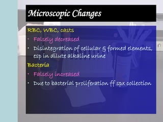Microscopic Changes
RBC, WBC, casts
• Falsely decreased
• Disintegration of cellular & formed elements,
esp in dilute alkaline urine
Bacteria
• Falsely increased
• Due to bacterial proliferation ff spx collection
 
