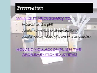 Preservation
WHY IS IT NECESSARY TO:
• Maintain the pH?
• Avoid bacterial contamination?
• Avoid conversion of urea to ammonia?
HOW DO YOU ACCOMPLISH THE
AFOREMENTIONED STEPS?
 