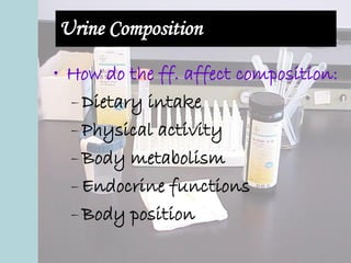 Urine Composition
• How do the ff. affect composition:
–Dietary intake
–Physical activity
–Body metabolism
–Endocrine functions
–Body position
 