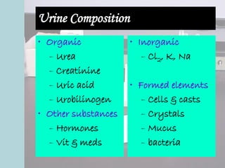 Urine Composition
• Organic
– Urea
– Creatinine
– Uric acid
– Urobilinogen
• Other substances
– Hormones
– Vit & meds
• Inorganic
– Cl2, K, Na
• Formed elements
– Cells & casts
– Crystals
– Mucus
– bacteria
 