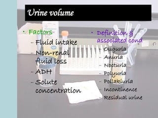 Urine volume
• Factors
– Fluid intake
– Non-renal
fluid loss
– ADH
– Solute
concentration
• Definition &
associated cond
– Oliguria
– Anuria
– Nocturia
– Polyuria
– Pollakiuria
– Incontinence
– Residual urine
 