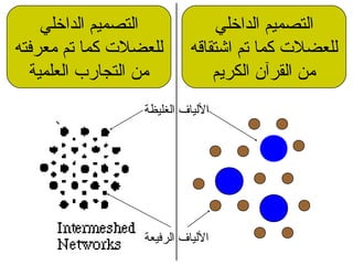 ‫الداخلي‬ ‫التصميم‬
‫اشتقاقه‬ ‫تم‬ ‫كما‬ ‫للعضل ت‬
‫الكريم‬ ‫القرآن‬ ‫من‬
‫الداخلي‬ ‫التصميم‬
‫معرفته‬ ‫تم‬ ‫كما‬ ‫للعضل ت‬
‫العلمية‬ ‫التجارب‬ ‫من‬
‫الغليظة‬ ‫اللياف‬
‫الرفيعة‬ ‫اللياف‬
 